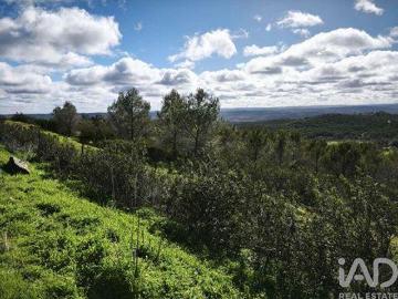 Terrenos Mertola Beja DS98476597