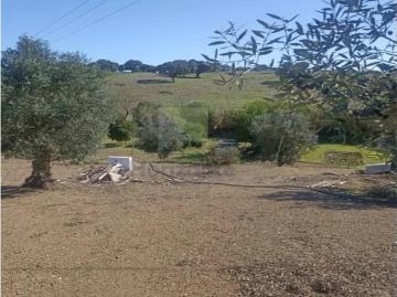 Terrenos Montemor Montemor DLS98963981