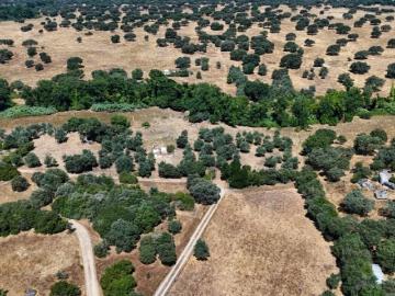 Terrenos Montemor Montemor DS96613968