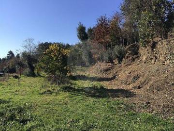 Terrenos Mondim De Basto Vila Real DS100020361