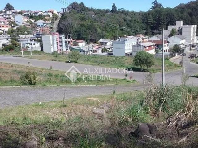 Terrenos no bairro Cidade Nova. Lotes a partir de 310,00m² até 660,62m²