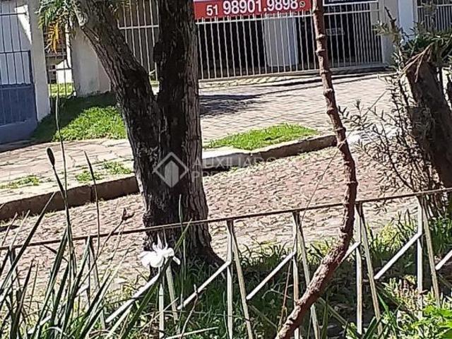 Terrenos no bairro Cristo Redentor