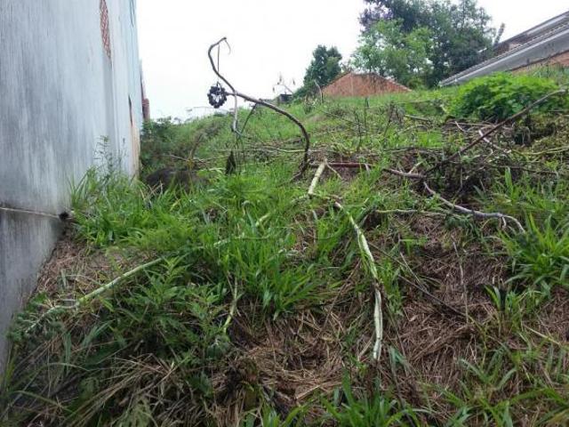 Terrenos Padrão em Poços de Caldas