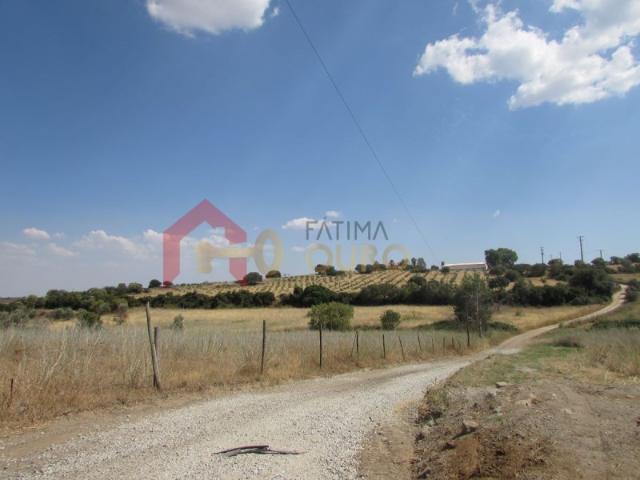 Terrenos para Construção e Rústicos