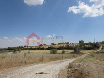 Terrenos para Construção e Rústicos