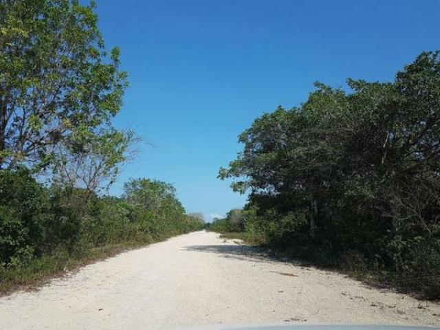 Terrenos para desarrollador excelente zona en Playa del Carmen P1893