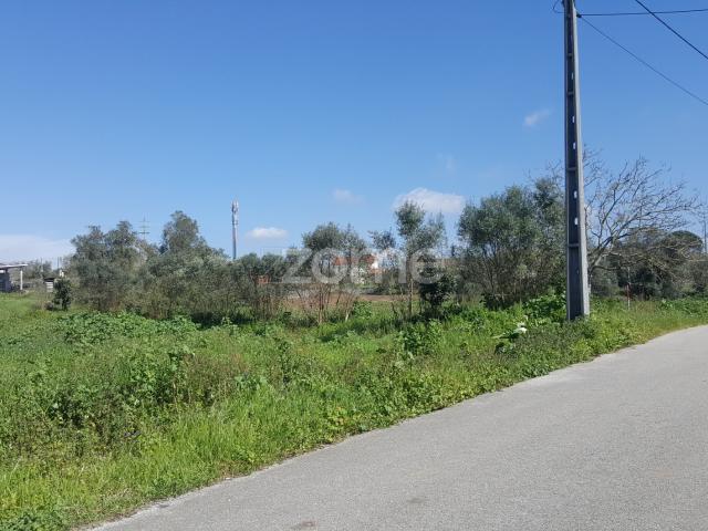 Terrenos para desenvolvimento em Milagres