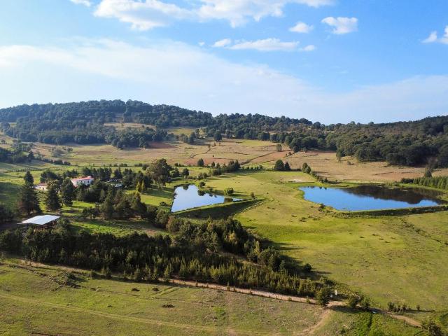TERRENOS PARA FINCAS EN EXCLUSIVA RESERVA NATURAL EN EL ORO EDO DE MEX