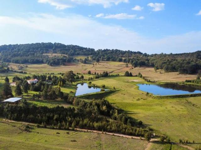 TERRENOS PARA FINCAS EN EXCLUSIVA RESERVA NATURAL EN EL ORO EDO DE MEX