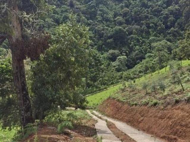 Terrenos para venda na região de Gonçalves MG