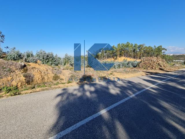 Terrenos para venda em Oliveira do Bairro