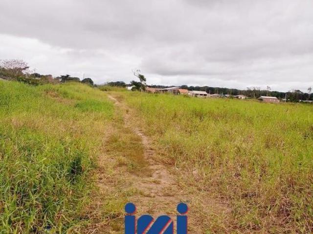 Terrenos parcelados em Matinhos
