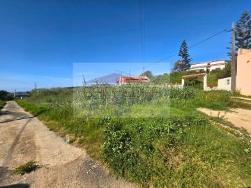 Terrenos Peniche Peniche DS94216183