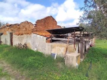 Terrenos Portalegre Ponte de Sor 7400 DS101261604