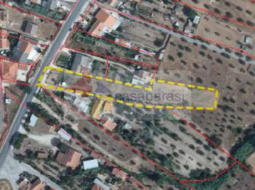 Terrenos Portalegre Ponte de Sor 7400 DS101261670