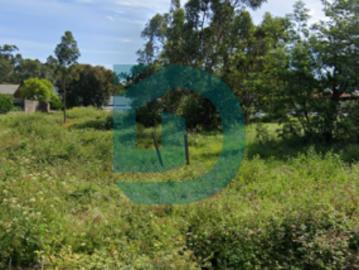Terrenos Porto Vila do Conde 4485 DS97024692