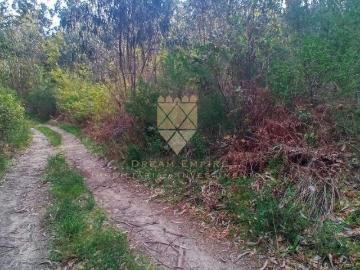 Terrenos Porto Penafiel 4560 DS98786597