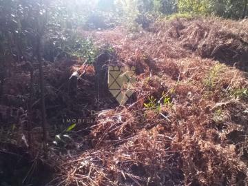 Terrenos Porto Penafiel 4560 DS98786599