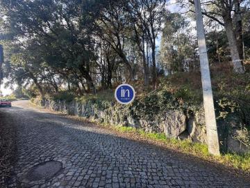 Terrenos Porto Santo Tirso 4780 DS98184516