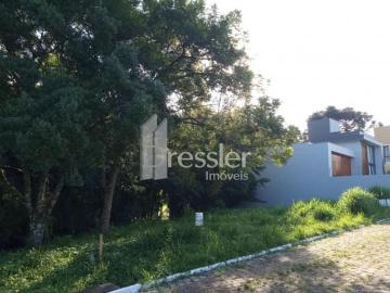 Terrenos Residenciais Carneiros