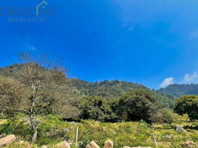 Terrenos Residenciales En Tlacolulan Veracruz En Venta