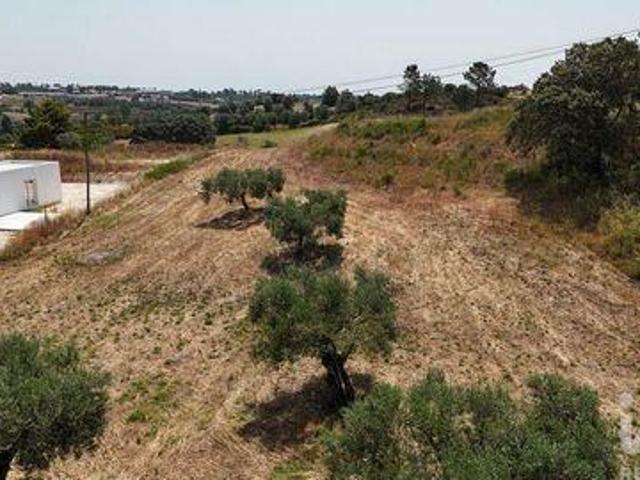 Terrenos Rio Maior Santarem DS92228801