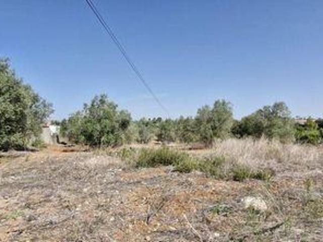Terrenos Rio Maior Santarem DS95717270