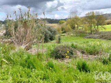 Terrenos Rio Maior Santarem DS99889490