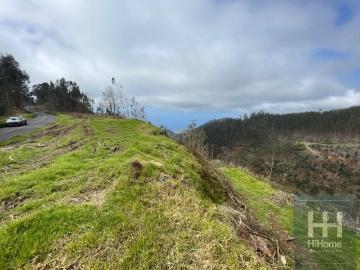 Terrenos Ribeira Brava Ribeira Brava 9350 050 DS87047279
