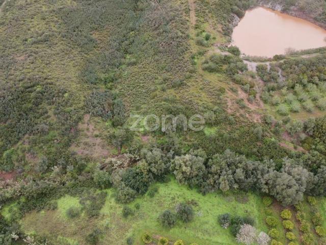 Terrenos Rústicos c/ total de 2.960m2 em Gregórios, Messines
