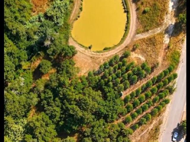 Terrenos Rústicos com área conjunta de 19.382 m2, concelho de Mafra a 40 minutos de Lisboa