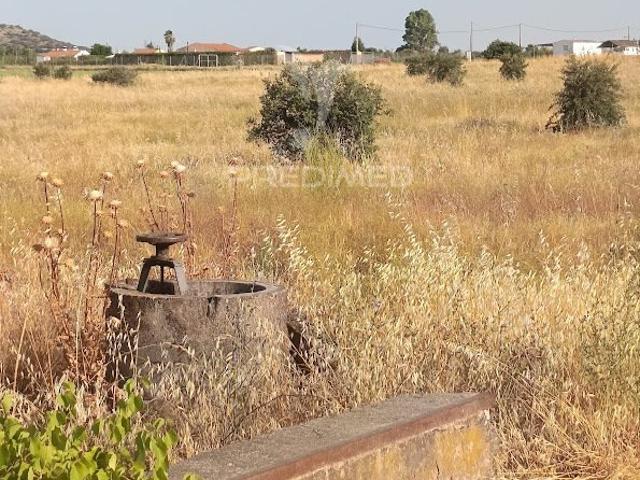 Terrenos Rústicos com Rega | Godinha, Campo Maior