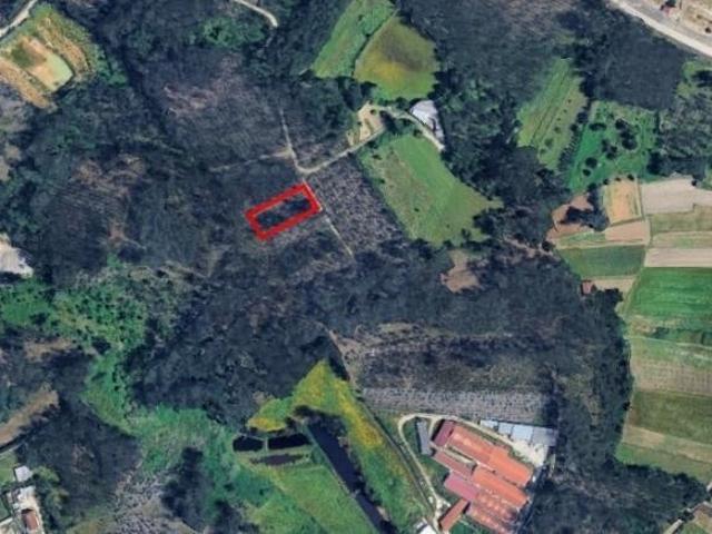 Terrenos rústicos e agrícolas em Regueira de Pontes Leiria