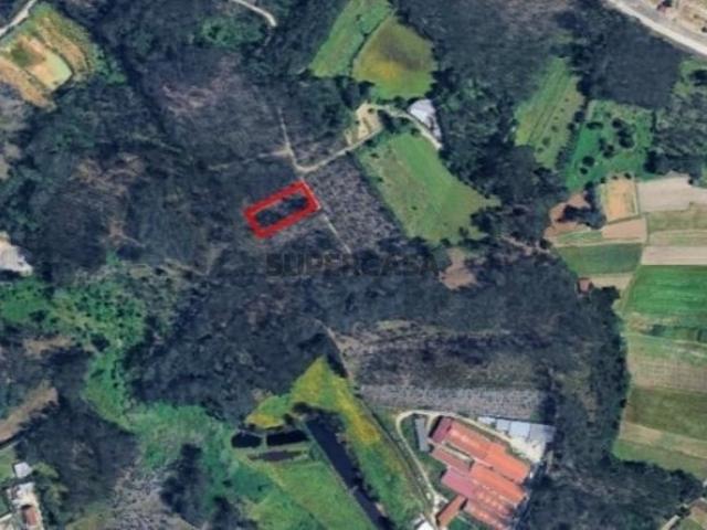 Terrenos rústicos e agrícolas em Regueira de Pontes Leiria