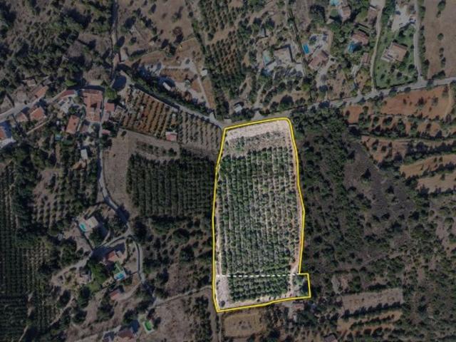Terrenos Rústicos | Em Vale Margem, Pêra, Silves | 1.95 Hectares | Água e Luz Junto ao Terreno