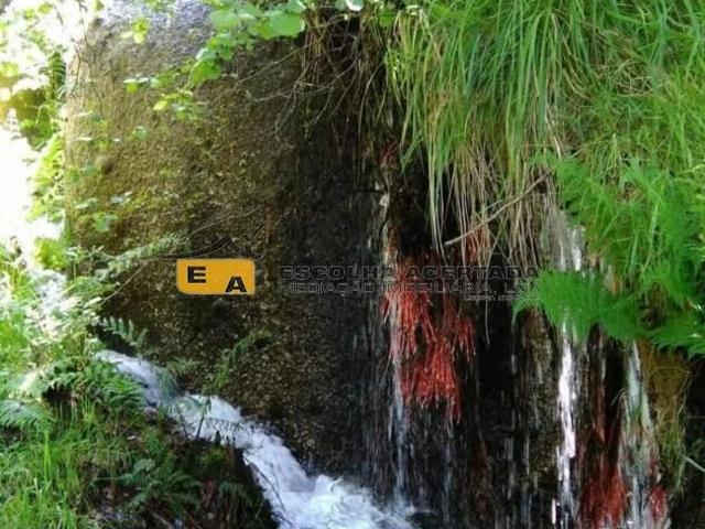 TERRENOS RÚSTICOS EM SOALHÃES