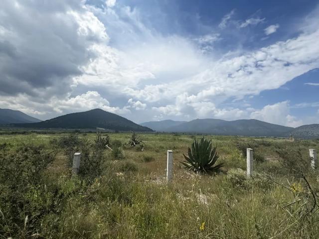 Terrenos Rústicos en venta en el Huachichil