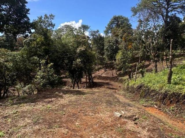 TERRENOS RUSTICOS EN VENTA EN LAGUNILLAS, XICOTEPEC