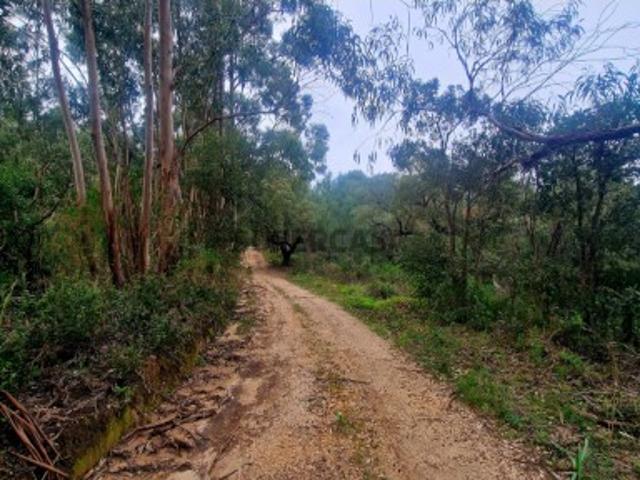 TERRENOS RÚSTICOS EXCLUSIVOS NO CERRO DO CARAMELO 11.752 M2 COM MINA DE ÁGUA E VISTAS INCRÍVEIS