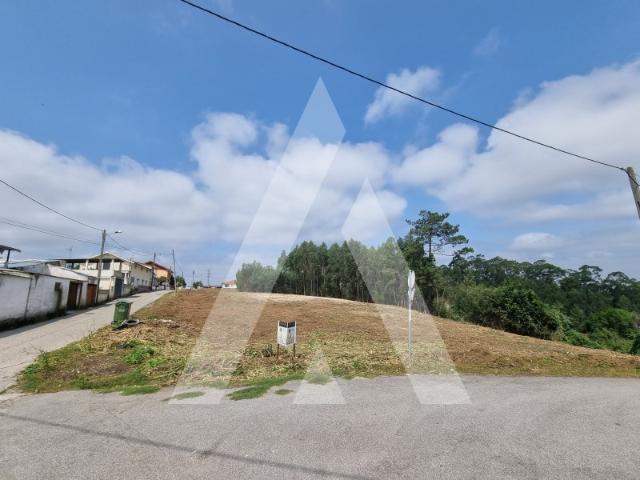 Terreno Coimbra