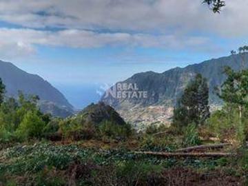 Terrenos São Vicente Ilha da Madeira DS97101051