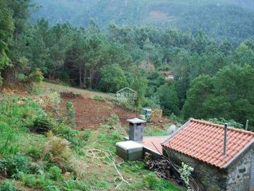 Terrenos São Vicente Ilha da Madeira DS98263788