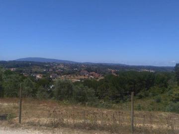Terrenos Santarém Tomar 2305 DS98918404
