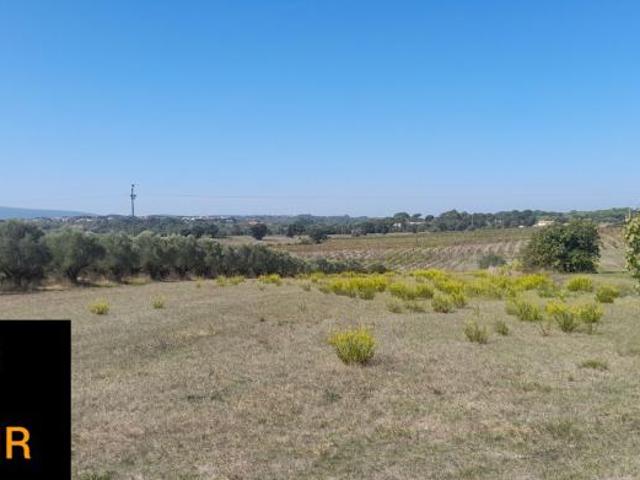 Terrenos Santarém Tomar 2305 DS98918494