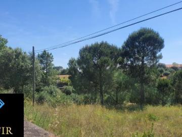 Terrenos Santarém Torres Novas 2350 DS98918512