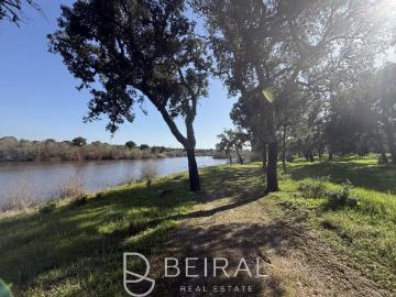 Terrenos Santarém Benavente 2130 DS99558757