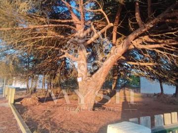 Fontainhas, Quinta do Conde, Quinta do Conde, Seixal, Distrito de Setúbal