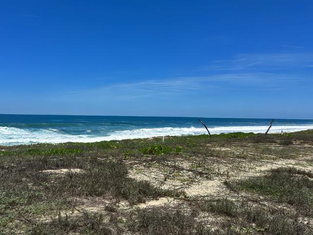 Terrenos Sobre Playa Los Mogotes Escriturados en Preventa