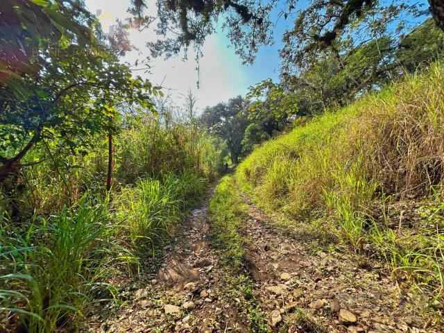 TerrenoTerreno en venta en Miahuatl?n Veracruz 5.5 hect?reas