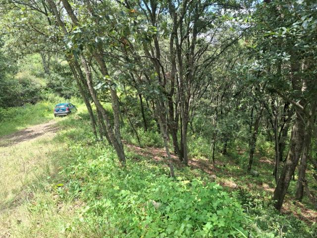 TerrenoVenta de Terreno en Fracc. Campestre lt. 56, MZ 6,Villa del Carb?n
